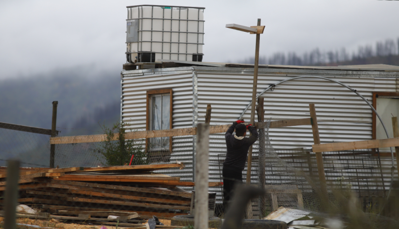 quilpué: terreno calicheros desalojado se delimita y pone en venta