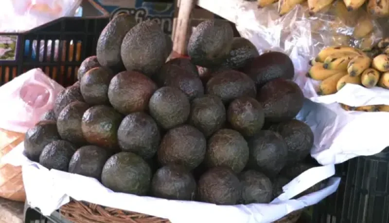 alerta sanitaria minsal refuerza vigilancia por paltas peruanas con cadmio