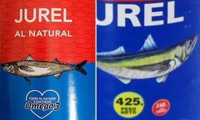 alerta nacional denuncian 30 millones de tarros con jurel falso en chile