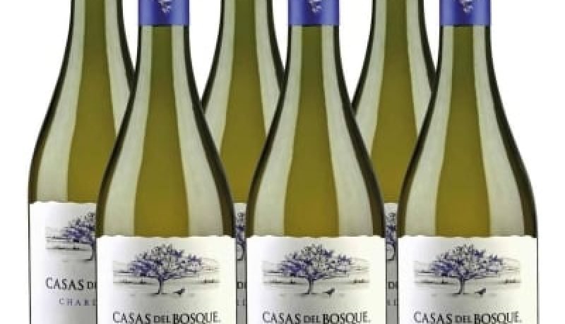 enoturismo en chile el crecimiento que impulsa a casablanca