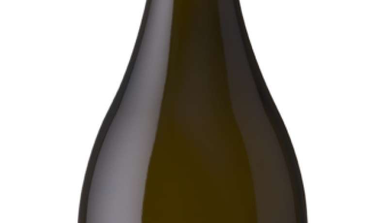 vina tapihue wines recibe a futuros contadores pucv integrando teoria y practica en el valle