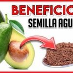 te de cuesco de palta un aliado para tu salud expertos recomiendan su consumo