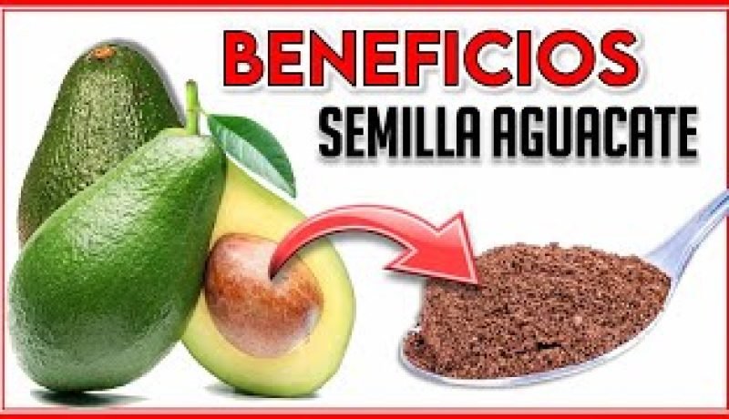 te de cuesco de palta un aliado para tu salud expertos recomiendan su consumo