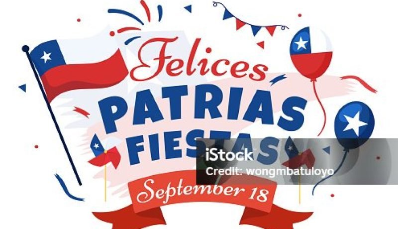 camila flores llama “orcos zurdos” a tiktokera en fonda de viña del mar.