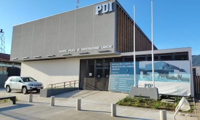 hallan cadáver con puñaladas en limache: investiga la pdi