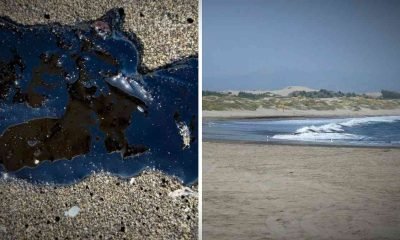 quintero: mancha oleosa activa investigación en bahía