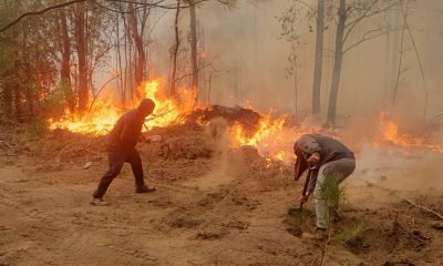 fiscalía valparaíso: megaincendio bajo lupa por responsabilidades