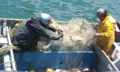 pescadores de quintero y puchuncaví exigen compensación a enap por derrame de petróleo
