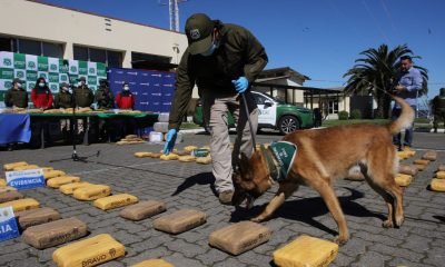 juicios por contrabando y drogas en valparaíso: red criminal con ex carabineros