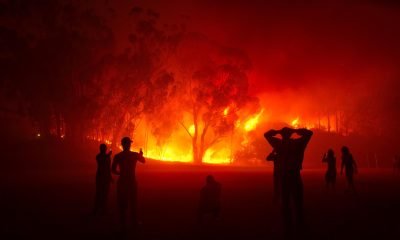 incendio forestal en limache: esfuerzos de emergencia en lliu lliu