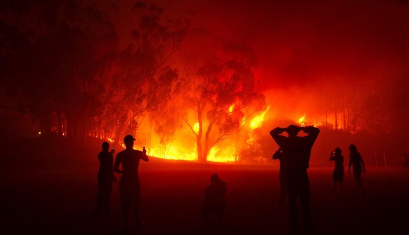 incendio forestal en limache: esfuerzos de emergencia en lliu lliu