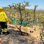 niño causa incendio forestal en villa alemana: alerta por prevención