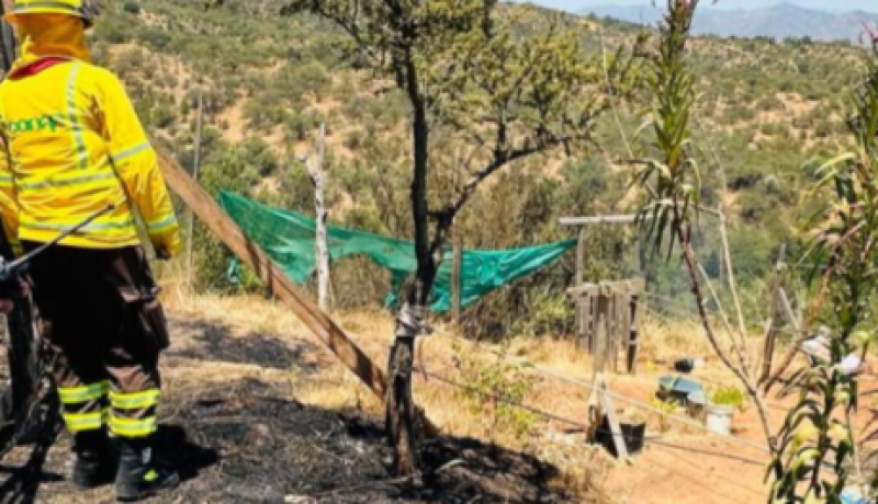 niño causa incendio forestal en villa alemana: alerta por prevención