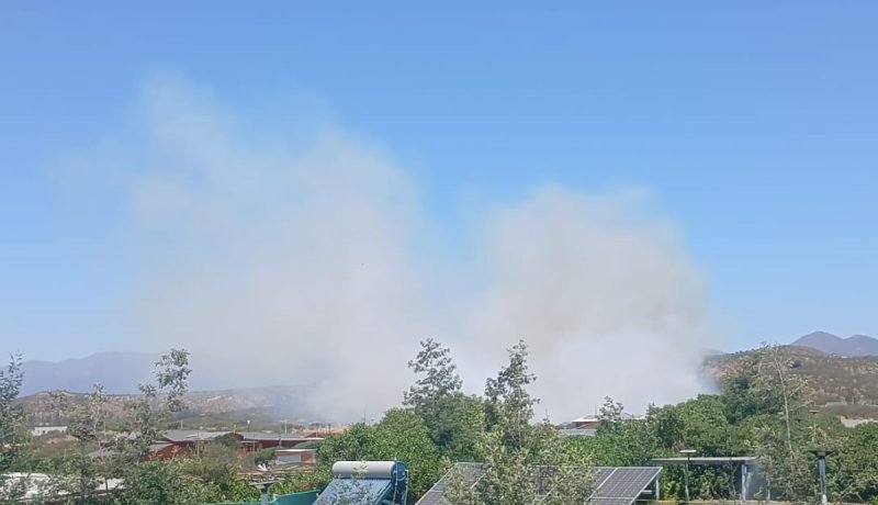 incendio forestal en limache: alerta roja y evacuaciones