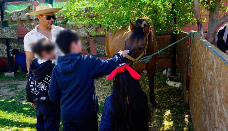 nogales brilla con iv feria de ciencias y primeras olimpiadas de anatomía