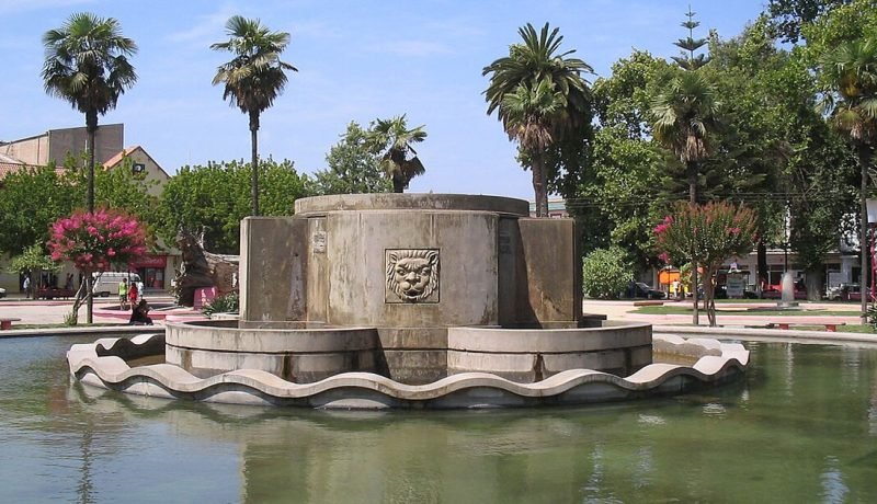 quillota celebra 308 años: sabor, tradición y unidad comunitaria