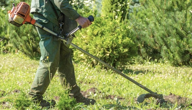 jardinero condenado a 15 años por abuso y violación de niña en zapallar
