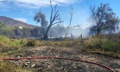 combaten incendio forestal en la calera: acción conjunta evita mayor catástrofe