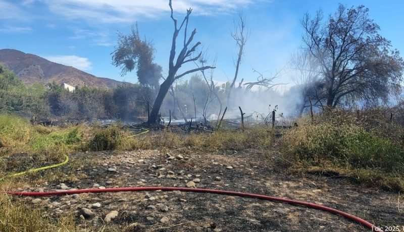 combaten incendio forestal en la calera: acción conjunta evita mayor catástrofe