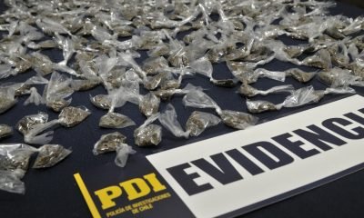 pdi detiene microtraficante con ketamina y cannabis en valparaíso