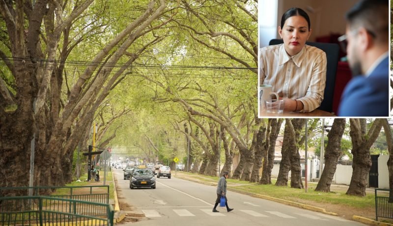 limache avanza en la reactivación del proyecto “boulevard urmeneta” con apoyo de la ministra arredondo.