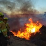conaf activa plan antincendios para peregrinación lo vásquez en casablanca