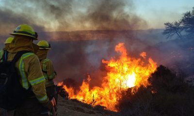 conaf activa plan antincendios para peregrinación lo vásquez en casablanca