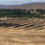 sma acusa a planta solar en zapallar por daño ambiental