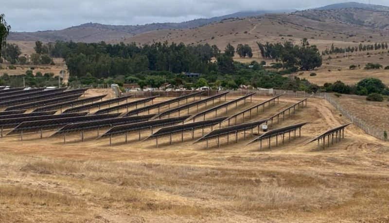 sma acusa a planta solar en zapallar por daño ambiental