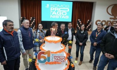 codelco ventanas: 61 años liderando producción de cátodos en chile