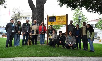 quillota conmemora día animal: biodiversidad y tenencia responsable