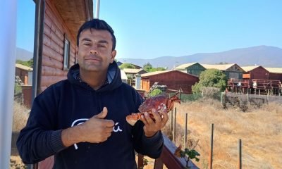 desaparición de herman ansaldo: hermano de artista circense de la cruz
