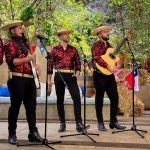 a los 4 vientos de limache representará a chile en viña 2026