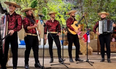 a los 4 vientos de limache representará a chile en viña 2026