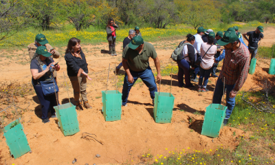 casablanca: vecinos se capacitan en restauración de bosques nativos