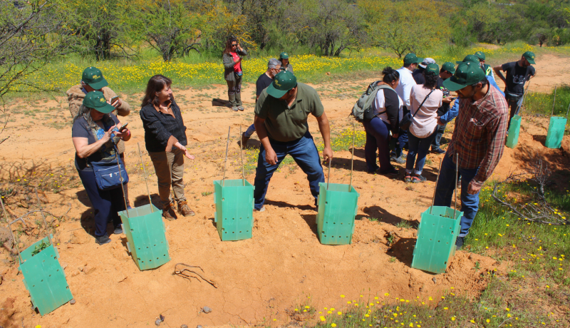 casablanca: vecinos se capacitan en restauración de bosques nativos
