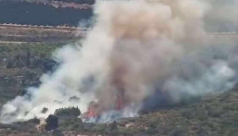 la calera en alerta: investigan intencionalidad en nuevo incendio forestal