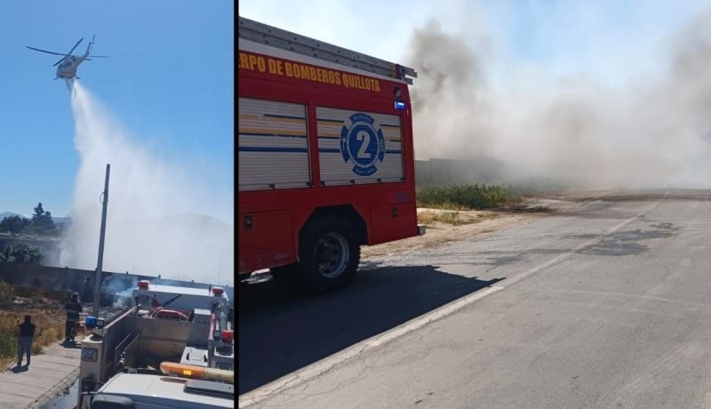 quillota: incendio forestal consume 1,7 hectáreas y afecta club deportivo
