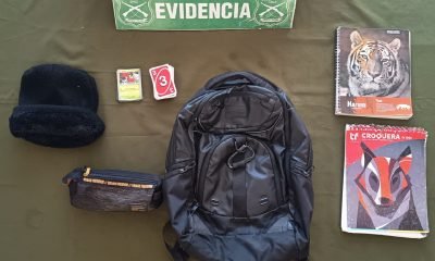 carabineros recupera cartas pokémon robadas en quilpué
