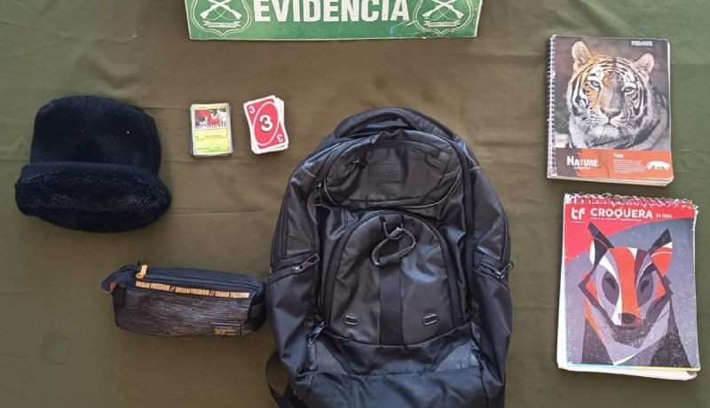 carabineros recupera cartas pokémon robadas en quilpué