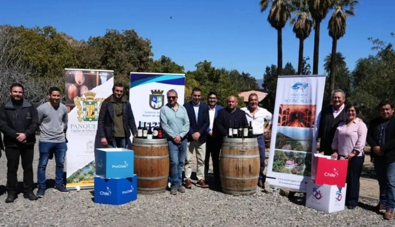 viñateros del aconcagua se preparan para representar a chile en la expo osaka 2025