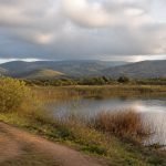 Laguna rodeada de juncos y vegetación en un valle de la zona central de Chile