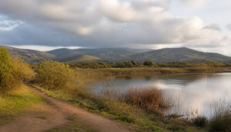 Laguna rodeada de juncos y vegetación en un valle de la zona central de Chile