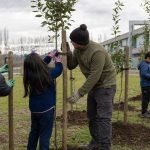 Estudiantes instalan tutores en árboles jóvenes de un ecoparque comunitario