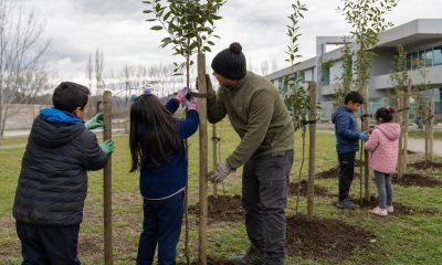 Estudiantes instalan tutores en árboles jóvenes de un ecoparque comunitario