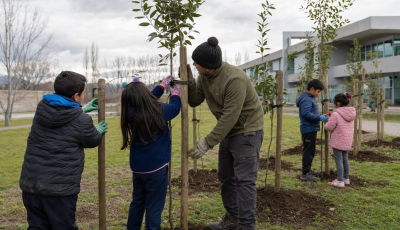 Estudiantes instalan tutores en árboles jóvenes de un ecoparque comunitario