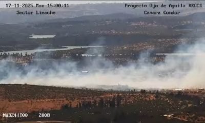 incendio en limache: evacuación y alerta sae por avance de fuego