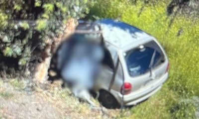 joven muere en trágico choque contra árbol en la ligua