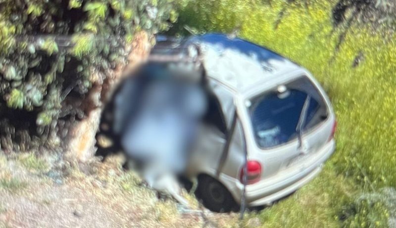 joven muere en trágico choque contra árbol en la ligua