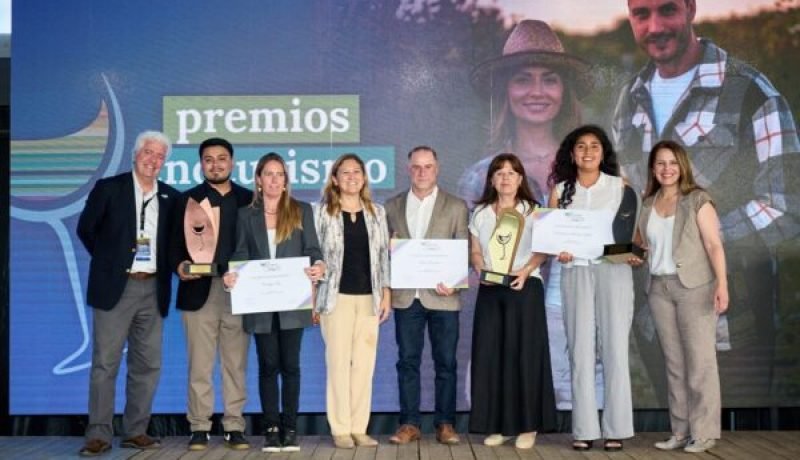 premios enoturismo 2025: bodegas re y montes lideran reconocimientos